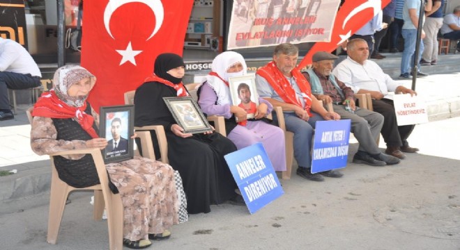 Muşlu Annelerin evlat nöbeti 160'ıncı haftasında