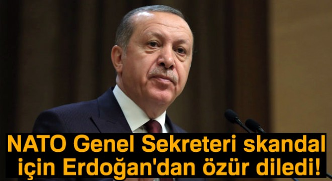NATO Genel Sekreteri özür diledi
