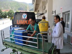 Organlarıyla 3 hastaya umut olacak