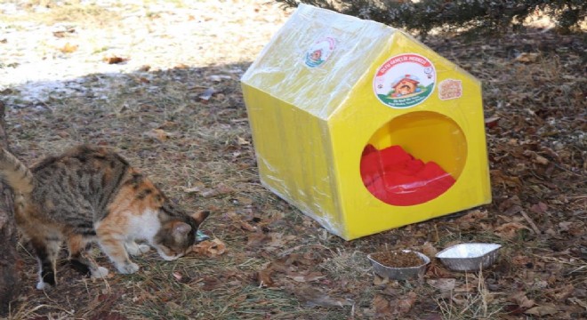 Oltu GM'den sokak hayvanlarına destek
