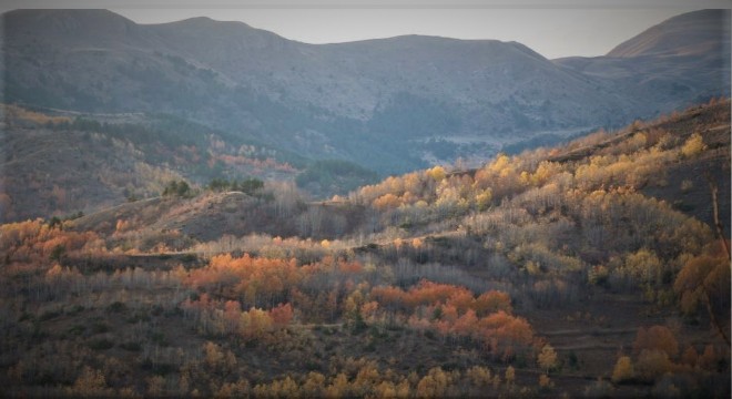 Oltu Özdere'de renk cümbüşü