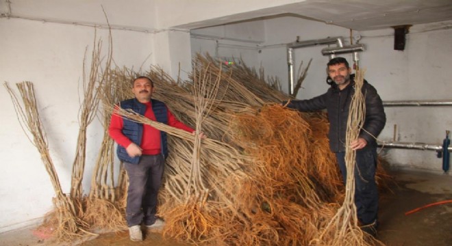 Oltu'da 15 bin fidan dağıtımı yapıldı