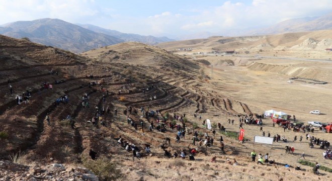 Oltu'da 5 bin fidan toprakla buluştu