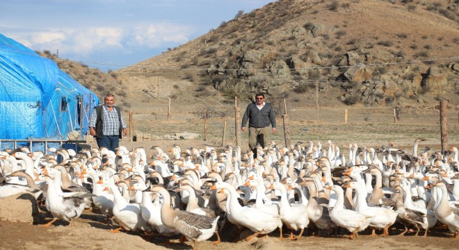 Oltu'da örnek girişim