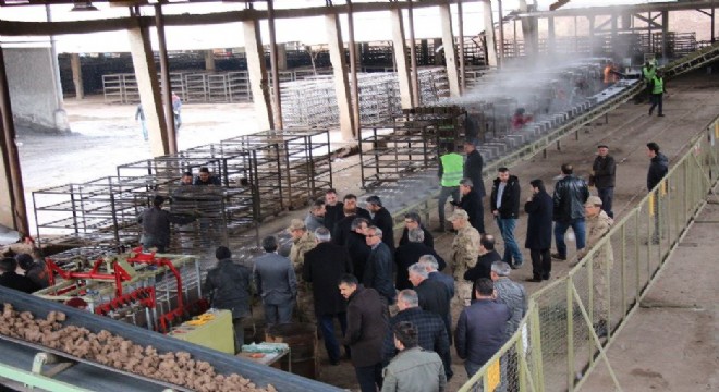Oltu'da tuğla fabrikası açıldı