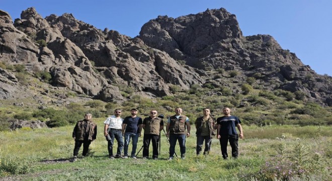 Oltu'da yabani hayvan envanteri çıkarıldı