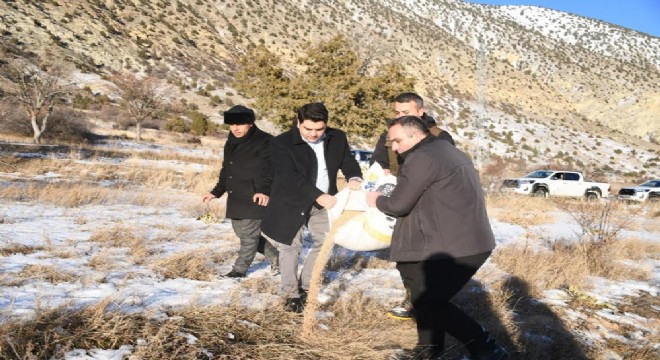 Olur'da yaban yaşamına destek