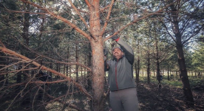 Orhan: 'Hedef daha yeşil bir Aziziye'