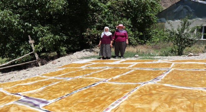 Ormanağzı'nda Karnavas dut pestili zamanı