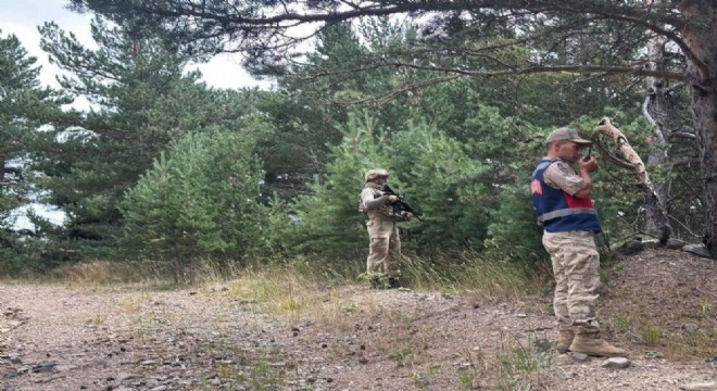 Ormanlık alanda mangal yakanlara ceza yağdı