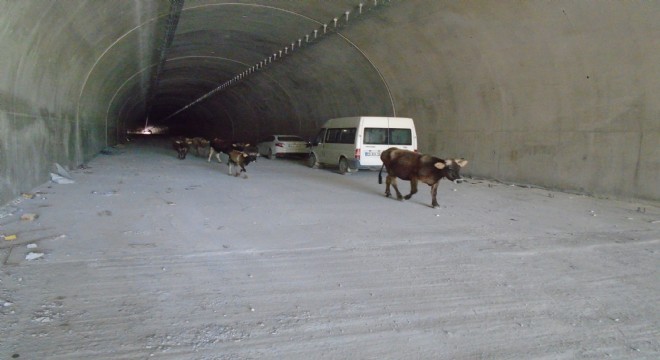 Ovit'in siftahını Onlar yaptı