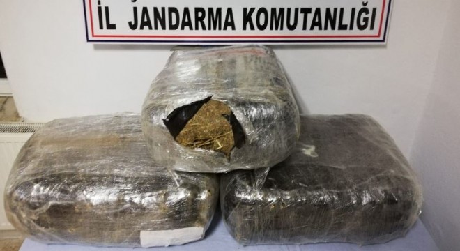 PKK'nın finansal ayağına darbe