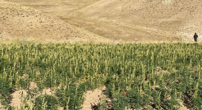 PKK'nın finansman kaynağına darbe