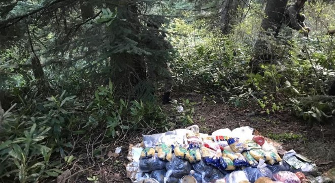 PKK'nın yer altına kurduğu depo ele geçirildi