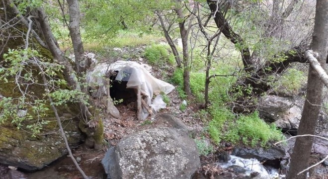 PKK'ya ait çok sayıda silah ele geçirildi