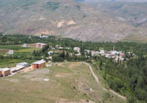 En yüksek performans Pazaryolu'ndan