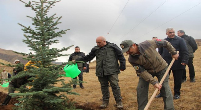 Palandöken'de 100. Yıl Cumhuriyet Ormanı