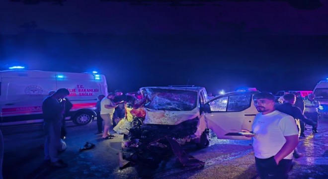 Panelvan yola çıkan ata çarptı: 1 ölü, 2 yaralı