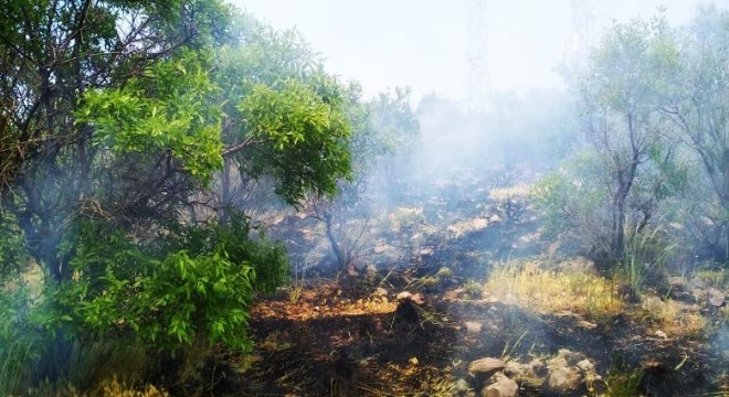 Pasinler Hasandede Bademlik'te yangın