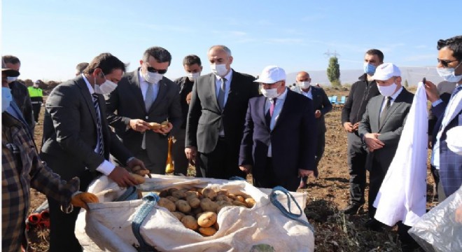 Pasinler Ovasında tarımsal coşku