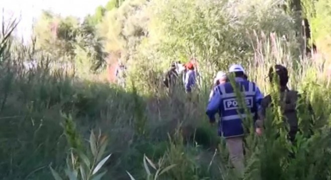 Pasinler'de 174 bin kök kenevir imha edildi
