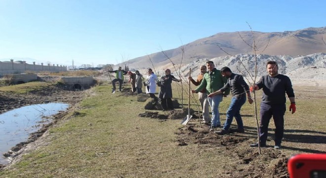 Pasinler'de fidan seferberliği