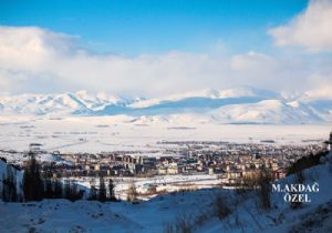 Erzurum Şirketleşme payı yüzde 14'e çıktı