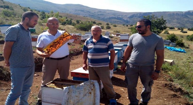 Samsunlu arıcılar  Erzurum'u seçti