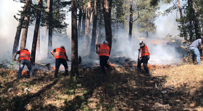 Sarıkamış ormanları 3 gündür yanıyor