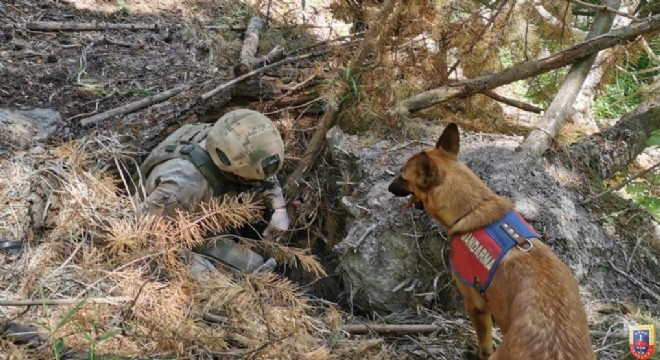 Sarıkamış'ta teröristlere darbe