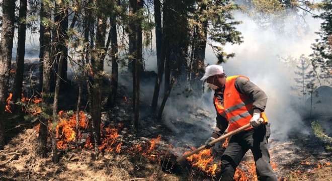 Sarıkamış'ta yürek sızlatan yangın