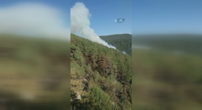 Sarıkamış'taki orman yangını söndürüldü