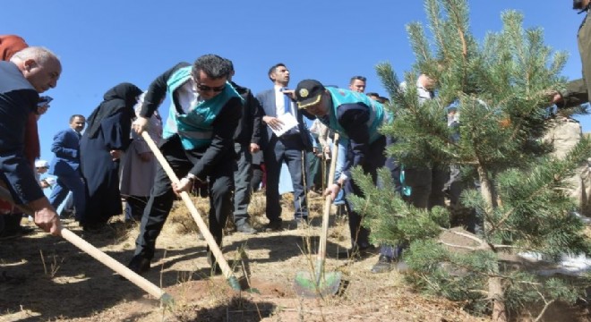 Sekmen: ‘Dağlara tohum atalım'