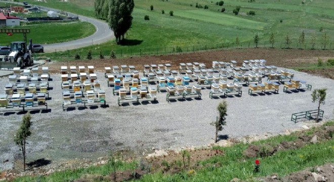 Erzurum Bal Ormanı'na kavuştu