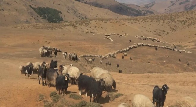 Serin yaylalardan köylere göç hazırlığı başladı