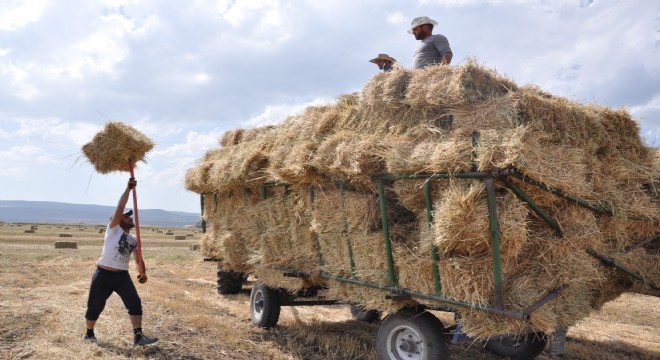 Sıcak havada çiftçilerin ot toplama mesaisi
