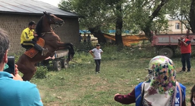 TDED'den “Türkün Kanadı At” programı