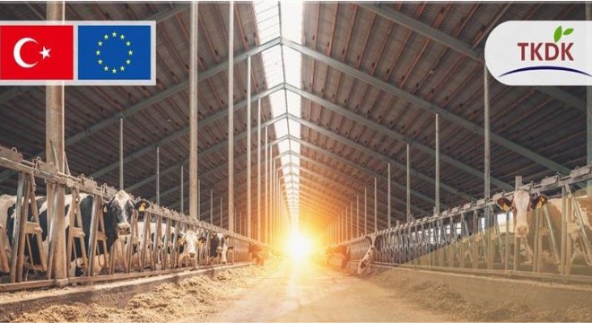 TKDK'dan 282 projeye hibe desteği