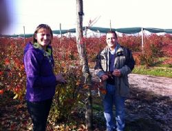 Ercişli ezber bozdu