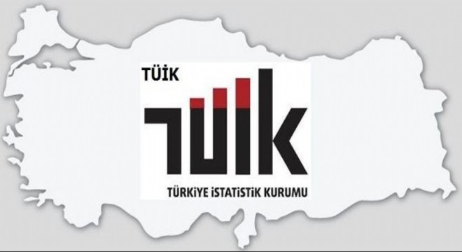 TÜİK İnternete erişim verilerini paylaştı