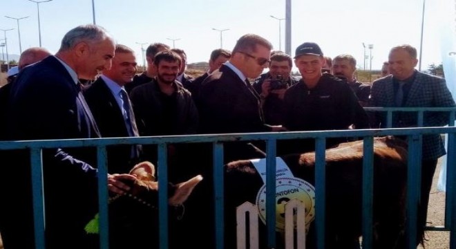 Tarım Fuarı'nda ilgi çeken yarışma