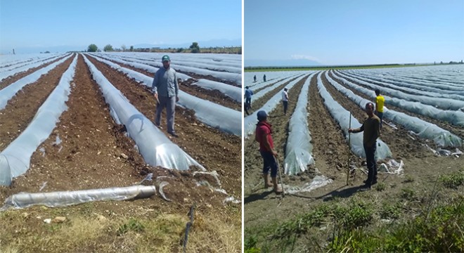 Tarımsal girdi fiyat endeksi açıklandı