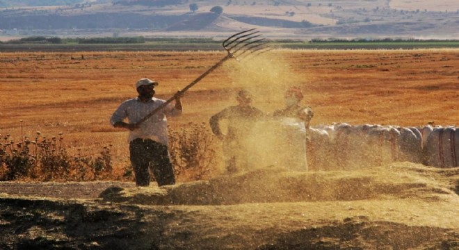 Tarımsal girdi fiyat endeksi açıklandı