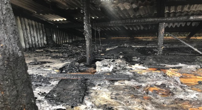 Tekman Düzyurt'ta yangın