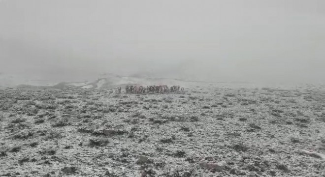 Tekman'da Mayıs ayında kar sürprizi