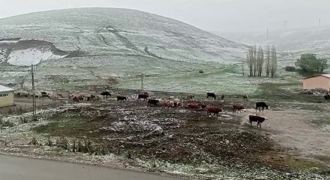 Tekman'da kar yaşamı olumsuz etkiledi