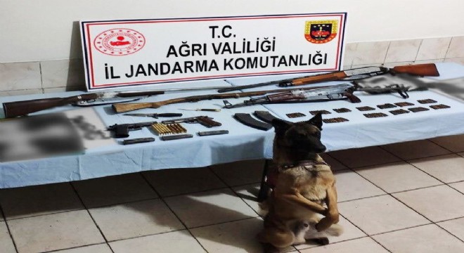 Terör operasyonunda 2 gözaltı