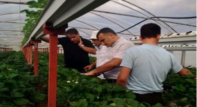 Tortum'dan Alanya'ya proje köprüsü