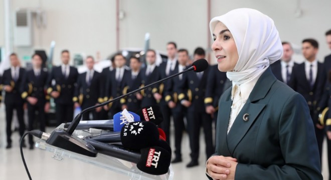 ‘Türkiye'de Kadına Yönelik Şiddet Araştırması'