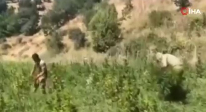 Uyuşturucu tacirlerine darbe